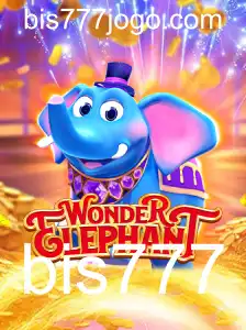 Descobrindo o Maravilhoso Mundo de WonderElephant